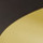 Black and Gold