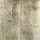 Silver Leaf