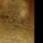 Gold Leaf/Black