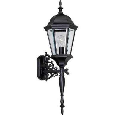Welbourne 1 Light Outdoor Wall Lantern 30.75 Inch Tall by Progress - P5684-31