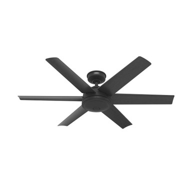Jetty 6 Blade Ceiling Fan with Wall Control 52 Inches Wide by Hunter Fans - 51731