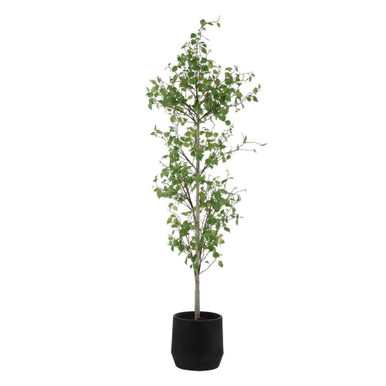 Boreal Potted Birch Tree 86.25 Inch Tall and 28.5 Inch Wide by Uttermost - 60263