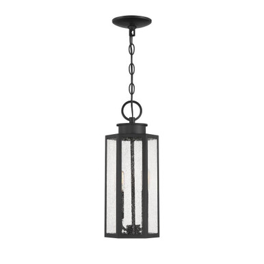 Hawthorne 2 Light Outdoor Hanging Lantern 17.25 Inch Tall by Savoy House - L5-5103-BK