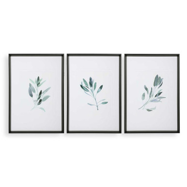 Simple Sage 36.5 Inch Watercolor Print (Set of 3) by Uttermost - 33723