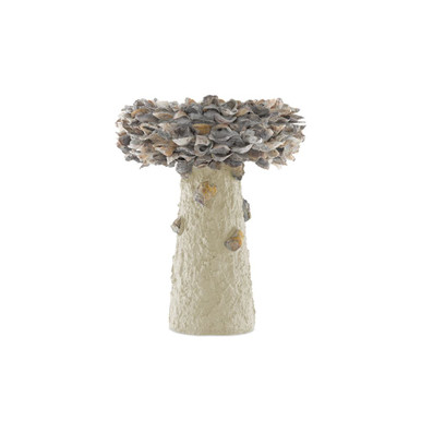 Oyster Shell 21.5 Inch Medium Bird Bath by Currey Company - 1200-0053
