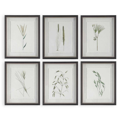 Forest Finds 18 Inch Framed Wall Decor (Set of 6) by Uttermost - 41459