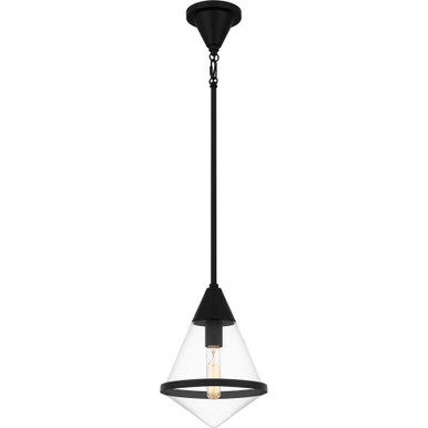 1 Light Small Pendant 13.5 Inch Tall by Quoizel - QPP6160