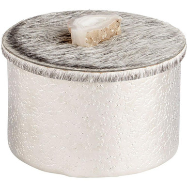 Windsor 6 Inch Medium Container by Cyan - 10212