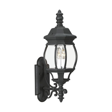 Wynfield 2 Light Outdoor Wall Lantern by Generation - 88201