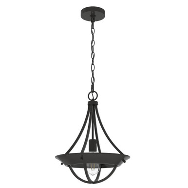 Perch Point 1 Light Medium Pendant by Hunter Fans - PP1_194_P