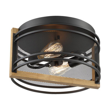 Atelier 2 Light 14.25 Inch Wide Flush Mount by Nuvo - 60/7263