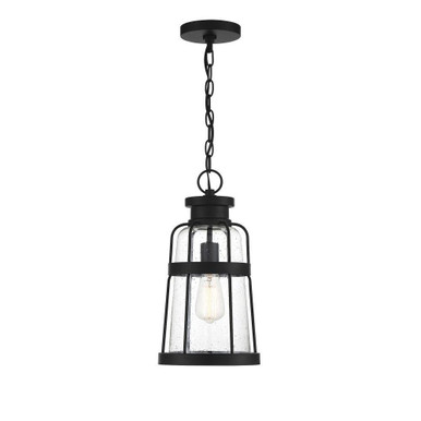 Quinton 1 Light Outdoor Hanging Lantern 16.5 Inch Tall by Savoy House - L5-2943-BK
