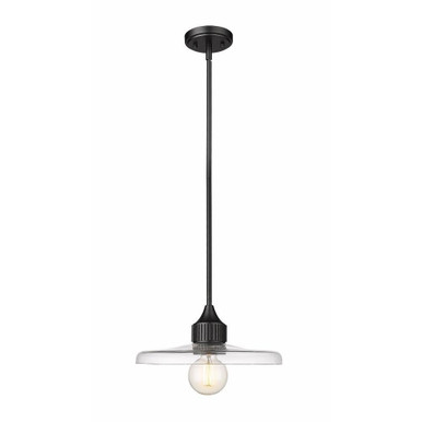 Paloma 1 Light Medium Pendant by Z-Lite - 820P14