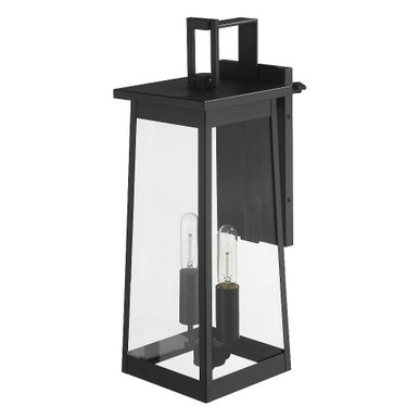 Alden 2 Light Outdoor Wall Lantern by Acclaim - 1212