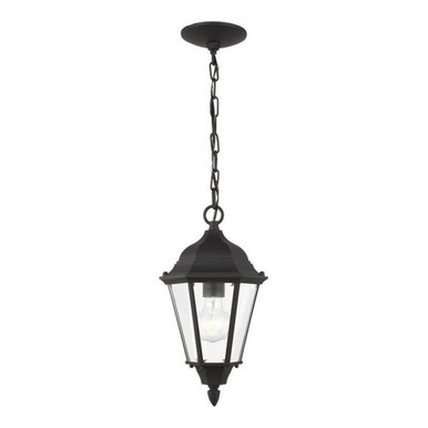 Bakersville 1 Light Traditional Outdoor Small Pendant by Generation - 60938