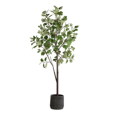 Eden Potted Fig Tree 108.25 Inch Tall and 37 Inch Wide by uttermost - 60246