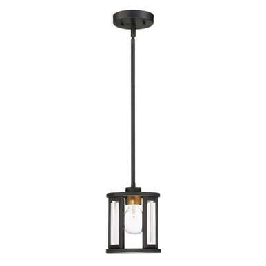 Payne 1 Light Small Pendant by Nuvo - 60/6412