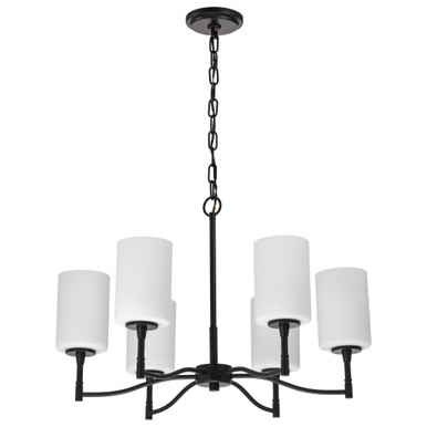 Liam 6 Light Chandelier 16.38 Inch Tall and 25 Inch Wide by Nuvo - 60/8206