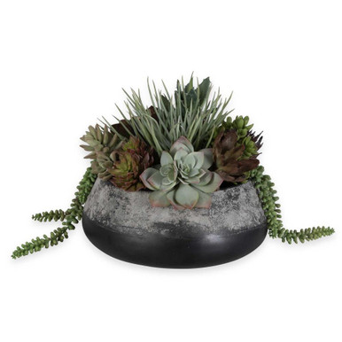 Yuma Succulent 13 Inch Planter by Uttermost - 60214
