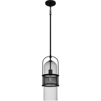1 Light Small Pendant 19 Inch Tall by Quoizel - QPP6221