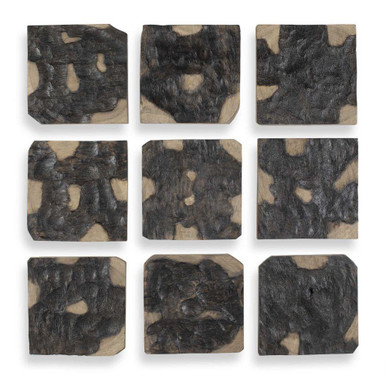 Ignite Wall Decor (Set of 9) 15.5 Inch Tall and 15.5 Inch Wide by Uttermost - 04383