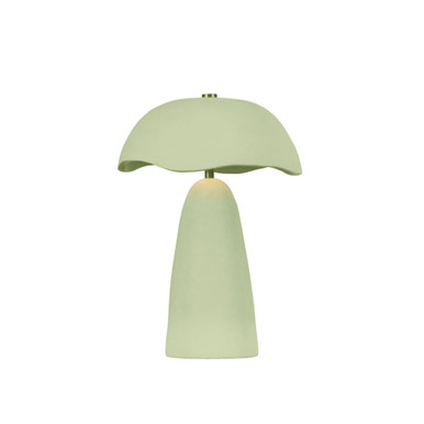 Soloma 3W 1 LED Rechargeable Table Lamp 20.75 Inch and 16 Inch Wide by Troy - RTL6516-PBR/CAE