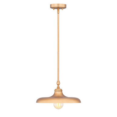 Camden 1 Light Pendant 6.75 Inch Tall and 14 Inch Wide by Z Lite - 2308P14