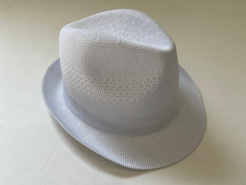 Fashion Summer Straw Hat # H8129