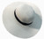 Fashion Summer Straw Hat # H8098