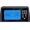 Weaver® W-987 Wheel Balancer Display