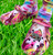 Cruisin' Tammy CROC CHARM!!! Cruisin' Tammy CROC CHARM!!!