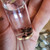 Mystery random SPIDER wet specimen