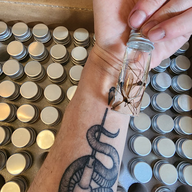 Mystery random wet specimen Mini - Living Biohazard