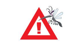 Whats the big hoopla over the Zika Virus?