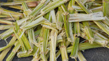 What are sugarcane bagasse plates? 