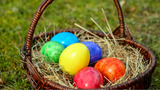 Eco-Bunny's Guide to Curating Earth-Conscious Easter Baskets