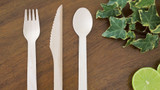 Eco-friendly alternatives to plastic cutlery