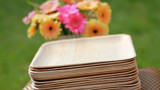 Bamboo plates and bowls alternatives