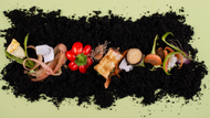 Manage Your Green Restaurant’s Eco-Waste