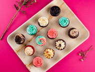 How to Choose the Right Disposable Tableware for Different Occasions