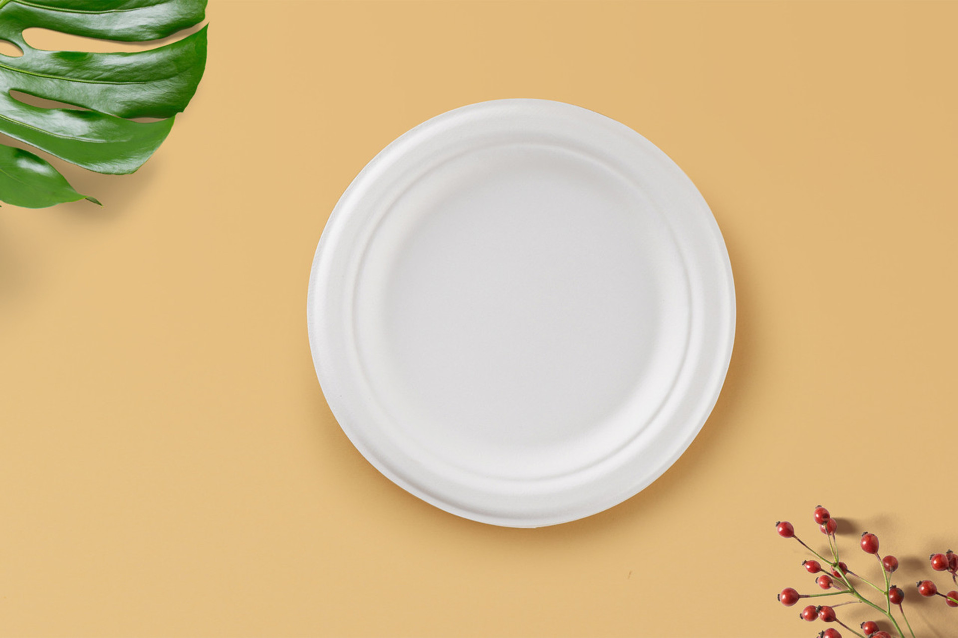 Biodegradable Plates UK Small Round Plates