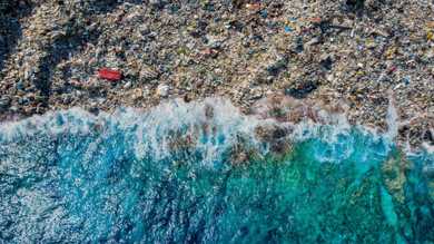 How does plastic harm the environment?