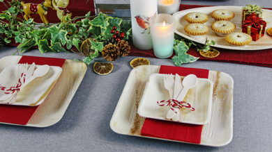 Disposable Christmas Tableware for an Eco-Friendly Festive Season 