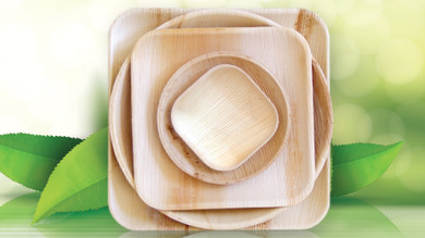 Go green with eco-friendly dinnerware sets