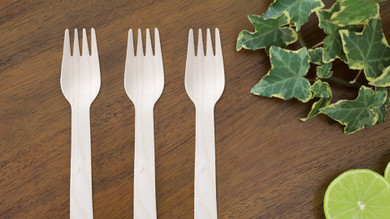 Eco-friendly disposable forks