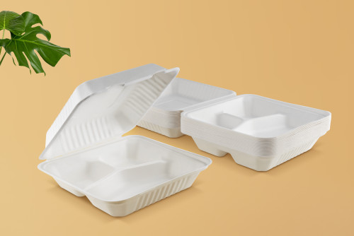 FOOGO Green takeaway container
