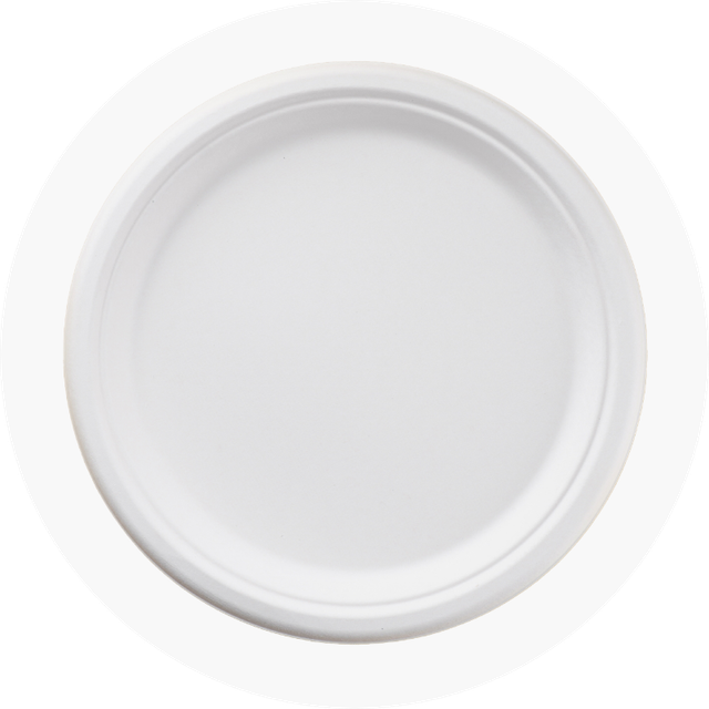 Pwig Sugarcane Plates – Compostable & Eco-Friendly Bagasse Plates