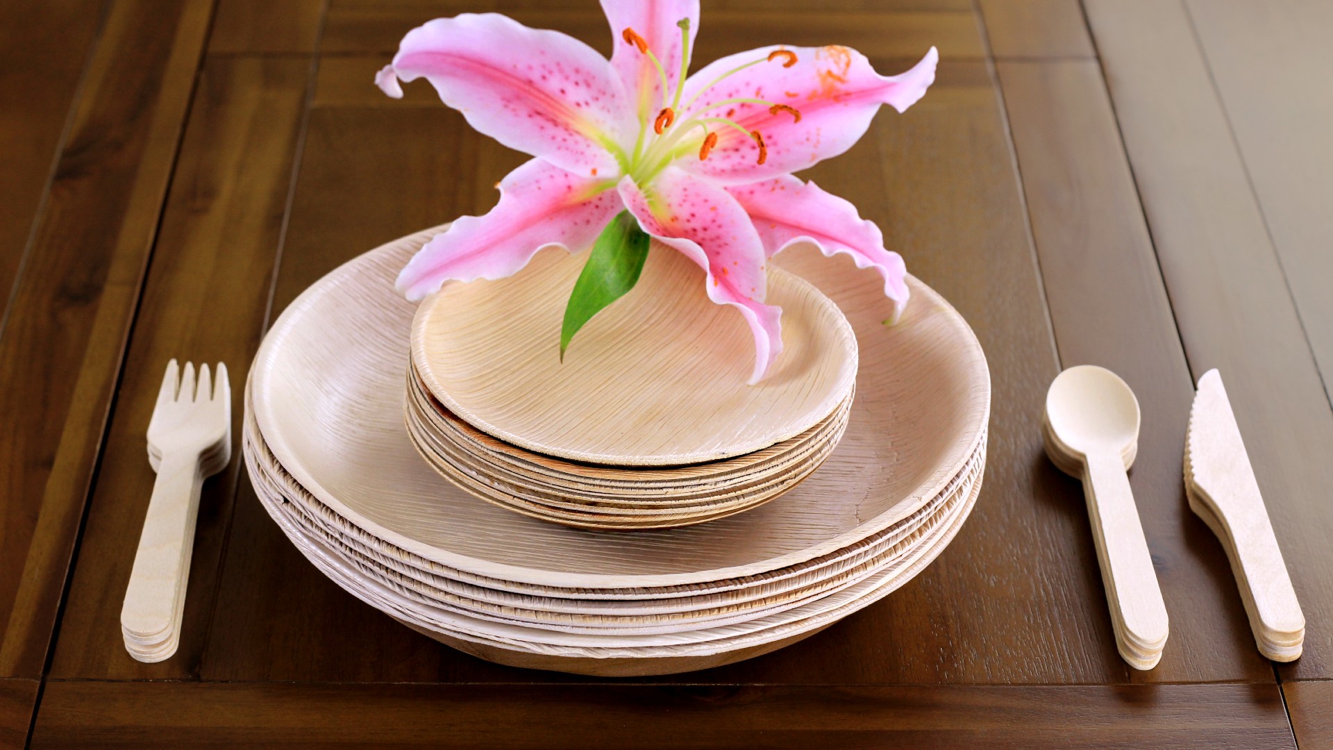 Biodegradable Bulk Disposable Plates and Bowls