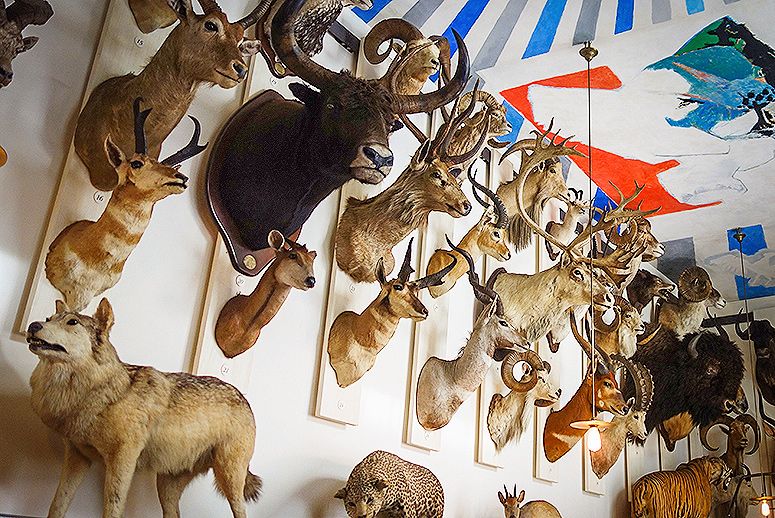 What is considered biggame hunting? Cedar Mill Fine Firearms