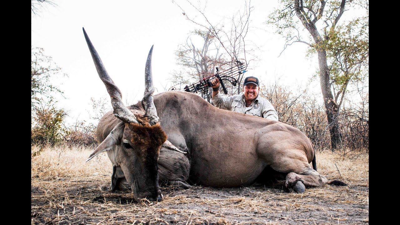 What is considered biggame hunting? Cedar Mill Fine Firearms